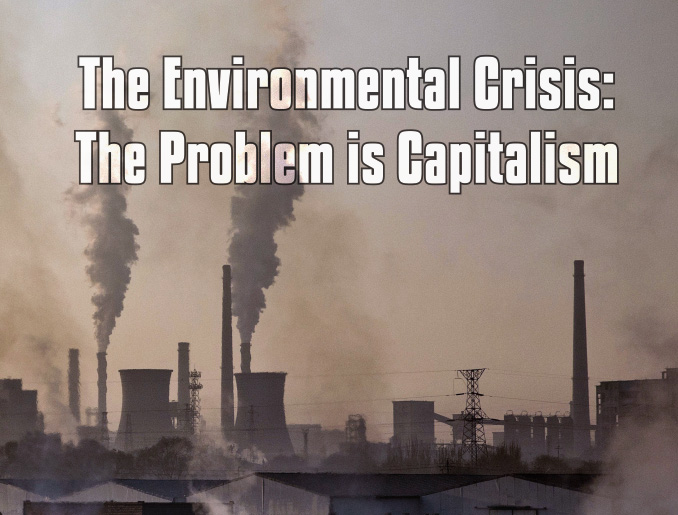 capitalism and the environment essay