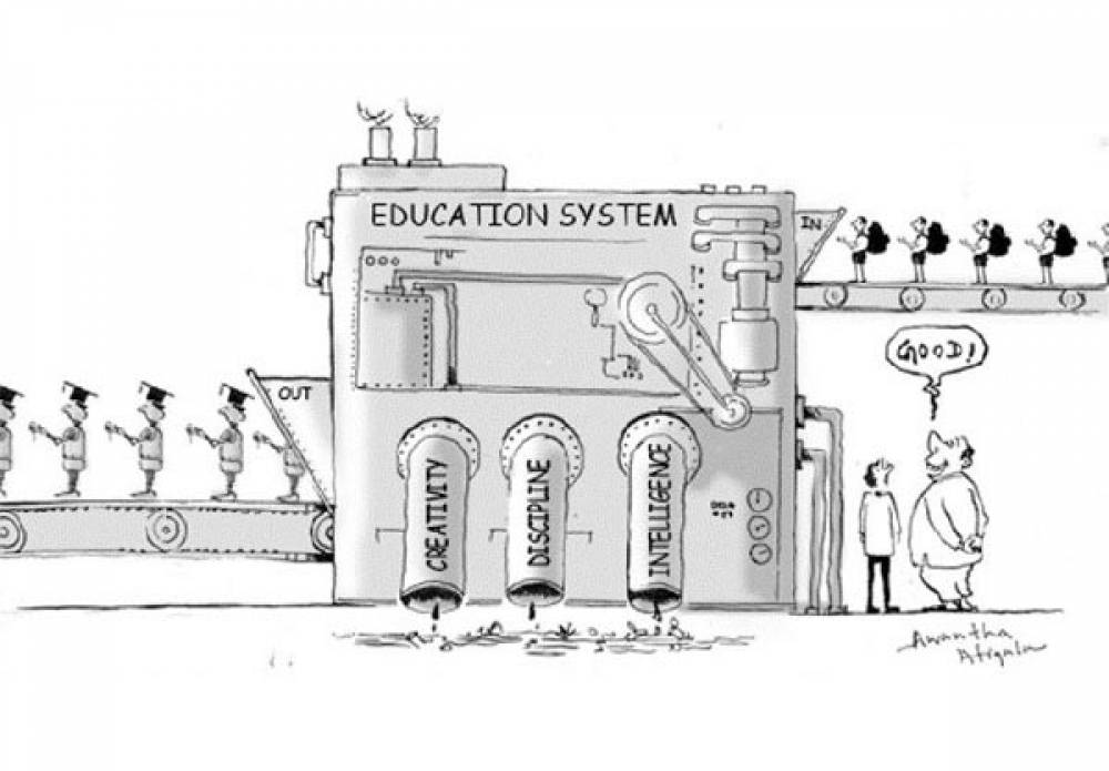 School Education or Adaptation? Speak Out Now